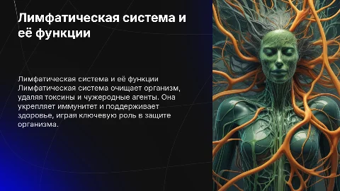 Лимфатическая система: очищение организма и защита от инфекций