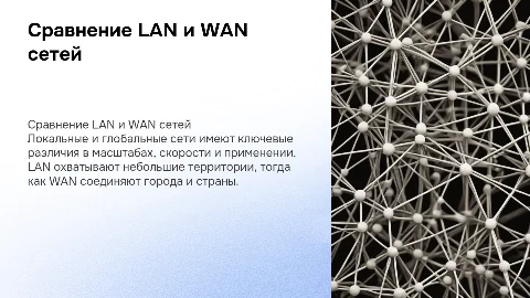 Сравнительный анализ локальных (LAN) и глобальных (WAN) сетей
