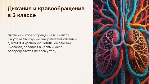 Урок окружающего мира: Дыхание и кровообращение в 3 классе