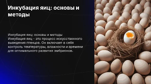 Инкубация яиц