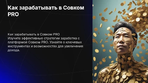 Как зарабатывать в Совком PRO