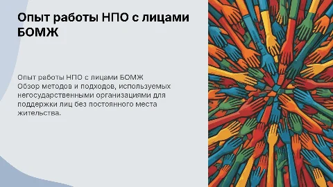 Опыт работы с лицами БОМЖ негосударственных организаций