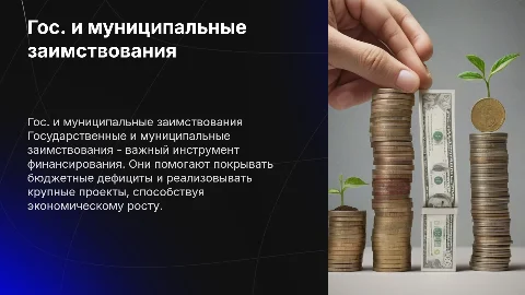 Государственные и муниципальные заимствования: понятие, значение, необходимость