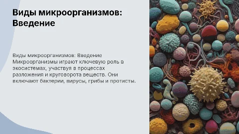 Презентация на тему "Виды микроорганизмов" с 20 слайдами