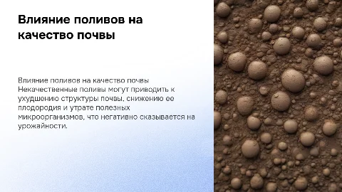 влияние некачественных поливов на почву