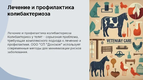 Лечение и профилактика колибактериоза у телят в ООО "СП "Донское"