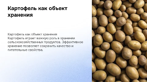 Эффективное хранение картофеля в сельском хозяйстве