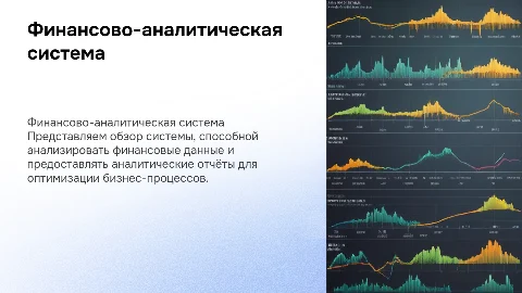 финансово аналитическая система
