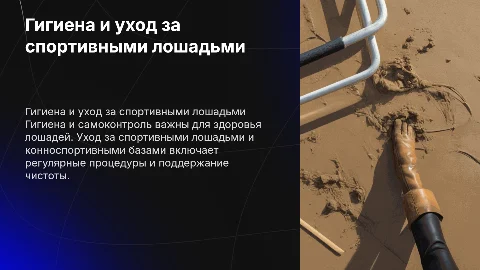 Гигиена и уход за спортивными лошадьми: важные аспекты
