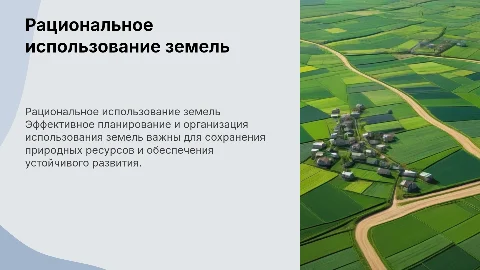 Планирование и организация рационального использования земель