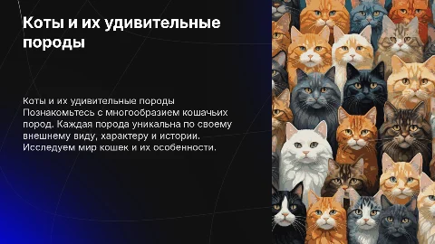 Коты и их породы