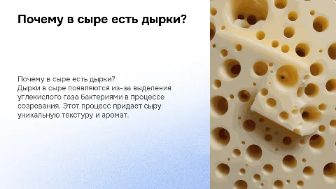 почему в сыре присутствуют дырки