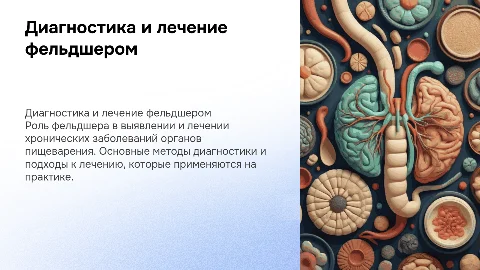 Диагностическая и лечебная деятельность фельдшера в гастроэнтерологии