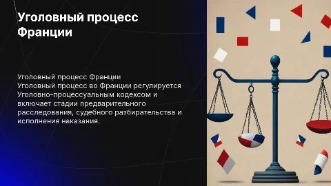 уголовный процесс Франции