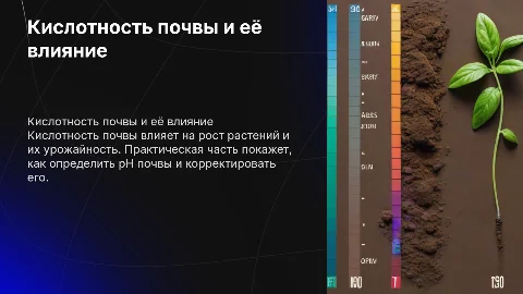 Кислотность почвы с практической частью