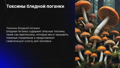 Токсины бледной поганки