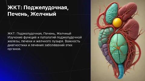 ЖКТ поджелудочной железы ,печени ,желчного пузыря