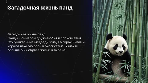 Панды