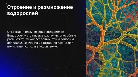 Презентация для 7 класса: Строение и размножение водорослей