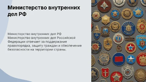 Министерство внутренних дел Российской Федерации