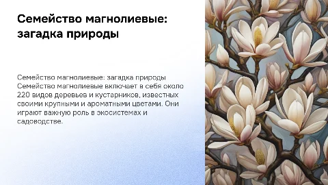 Семейство магнолиевые