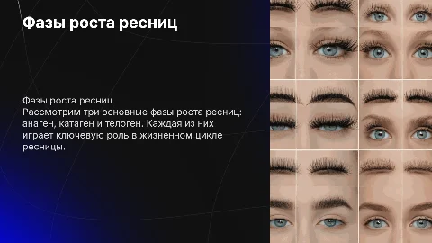 фазы роста ресниц анаген , катаген , телоген