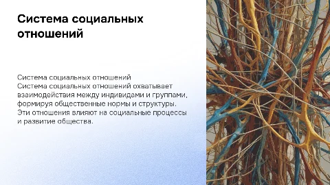 Система социальных отношений