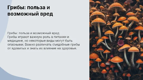 Грибы вред и польза