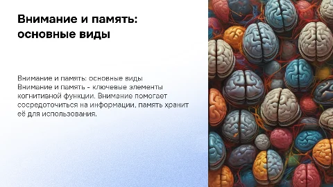 Внимание. Память.Основные виды