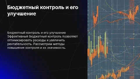 Бюджетный контроль и повышение