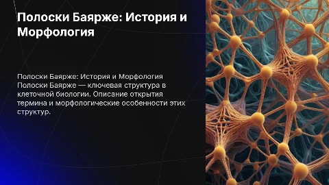 Полоски Баярже: История открытия и морфологическое описание