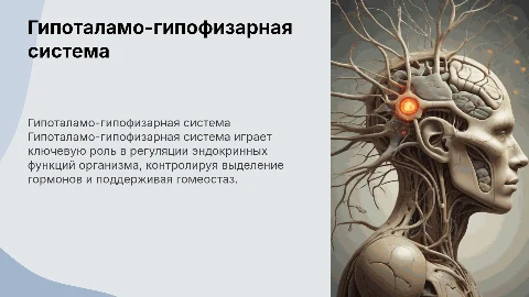 Гипоталамо-гипофизарной системы