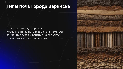 Типы почв Города Заринска