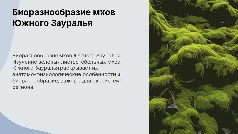 Биоразнообразие и анатомо-физиологические особенности мхов