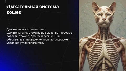 Дыхательная система у кошек