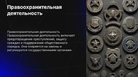 Правоохранительная деятельность