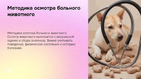 методика осмотра больного животного