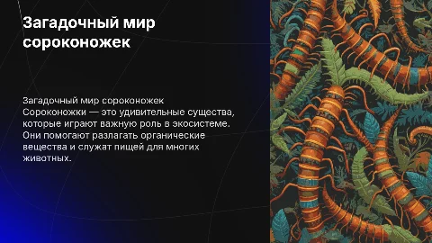 сороконожки