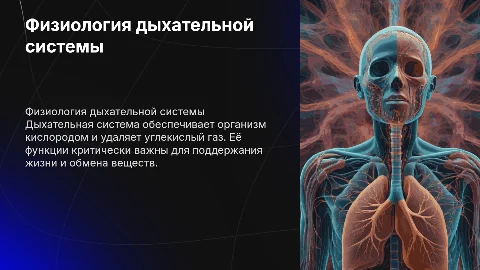 Дыхательная система: физиология и значение