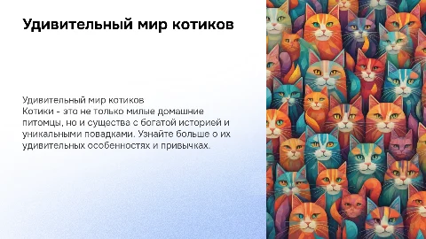 про котиков