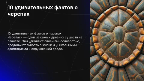 10 фактов о черепах