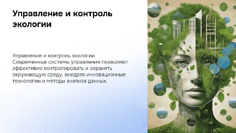 система управления и контроля в области охраны окружающей среды