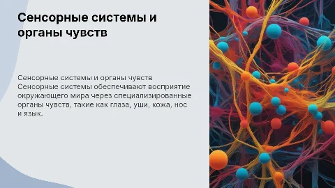 Определение сенсорной системы и органы чувств