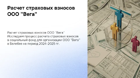 Расчет страховых взносов для ООО "Вега" в 2024-2025 гг