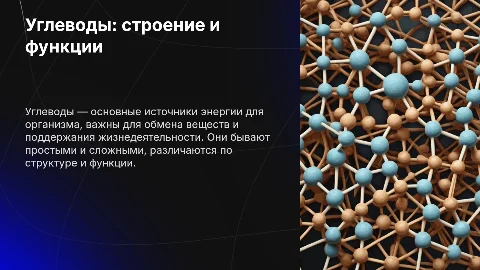 Углеводы и их свойства