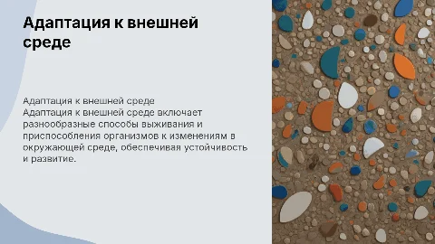 Адаптация к внешней среде: способы и механизмы