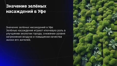 Роль зеленых насаждений в городе Уфа