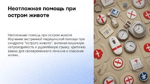 Неотложная медицинская помощь при остром животе