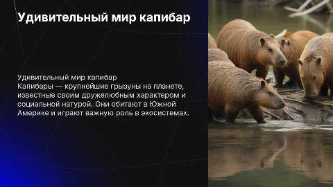 Капибара