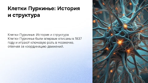 Клетки Пуркинье: история открытия и морфология